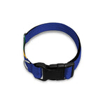 Tribal Mexican Serape Pattern Print Dog Collar
