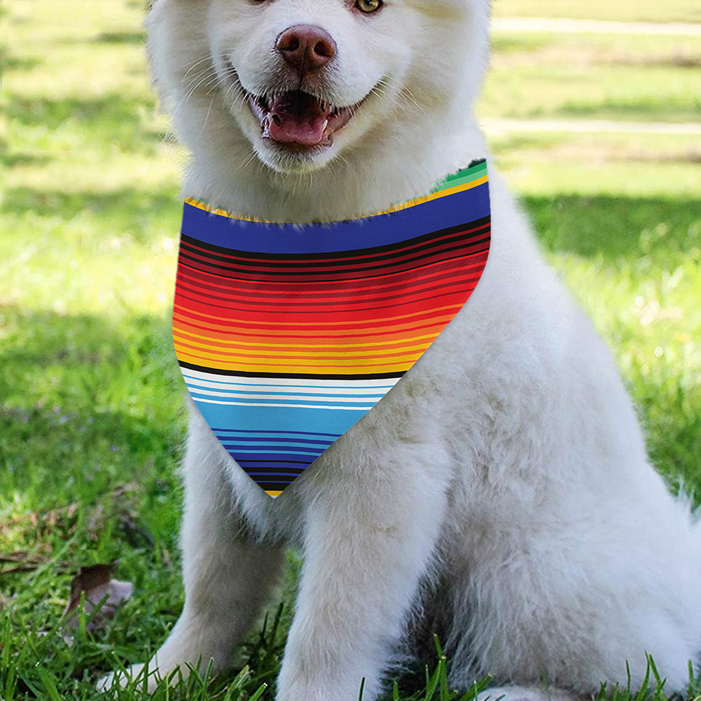 Tribal Mexican Serape Pattern Print Over The Collar Dog Bandana