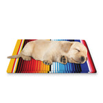 Tribal Mexican Serape Pattern Print Pet Cooling Mat Cover