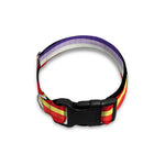 Tribal Serape Blanket Stripe Print Dog Collar