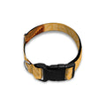 Tribal Tiki Mask Pattern Print Dog Collar