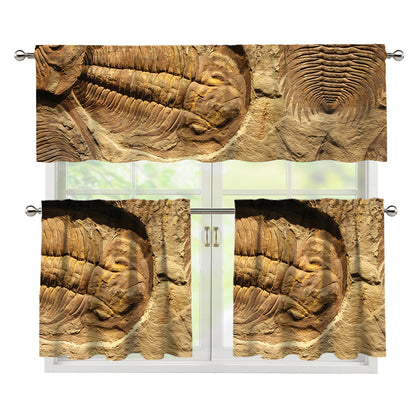 Trilobite Fossil Print 3 Piece Kitchen Curtains
