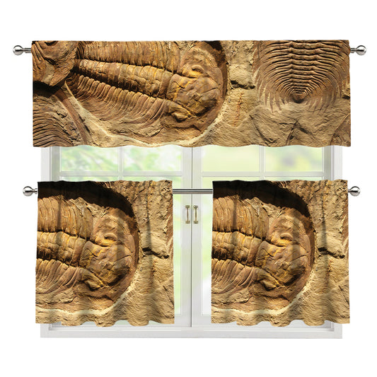 Trilobite Fossil Print 3 Piece Kitchen Curtains