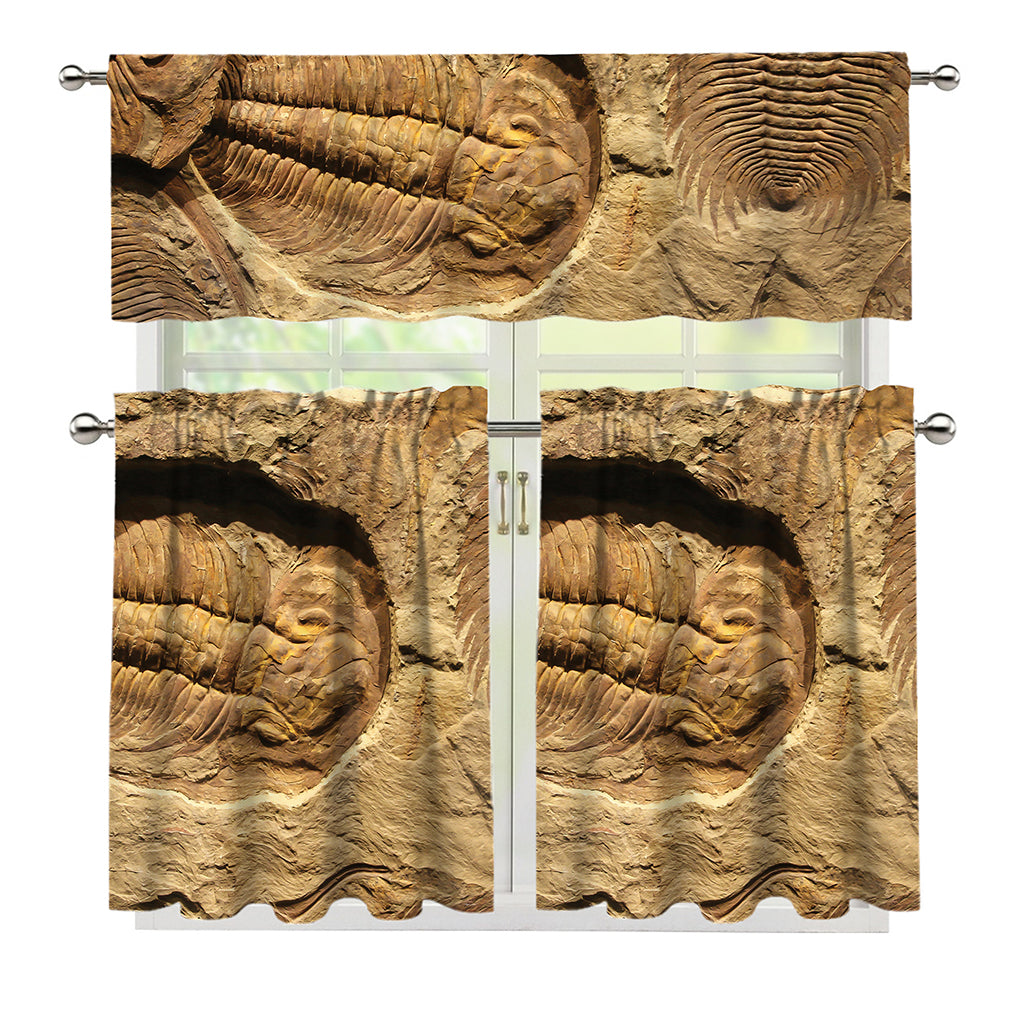 Trilobite Fossil Print 3 Piece Kitchen Curtains