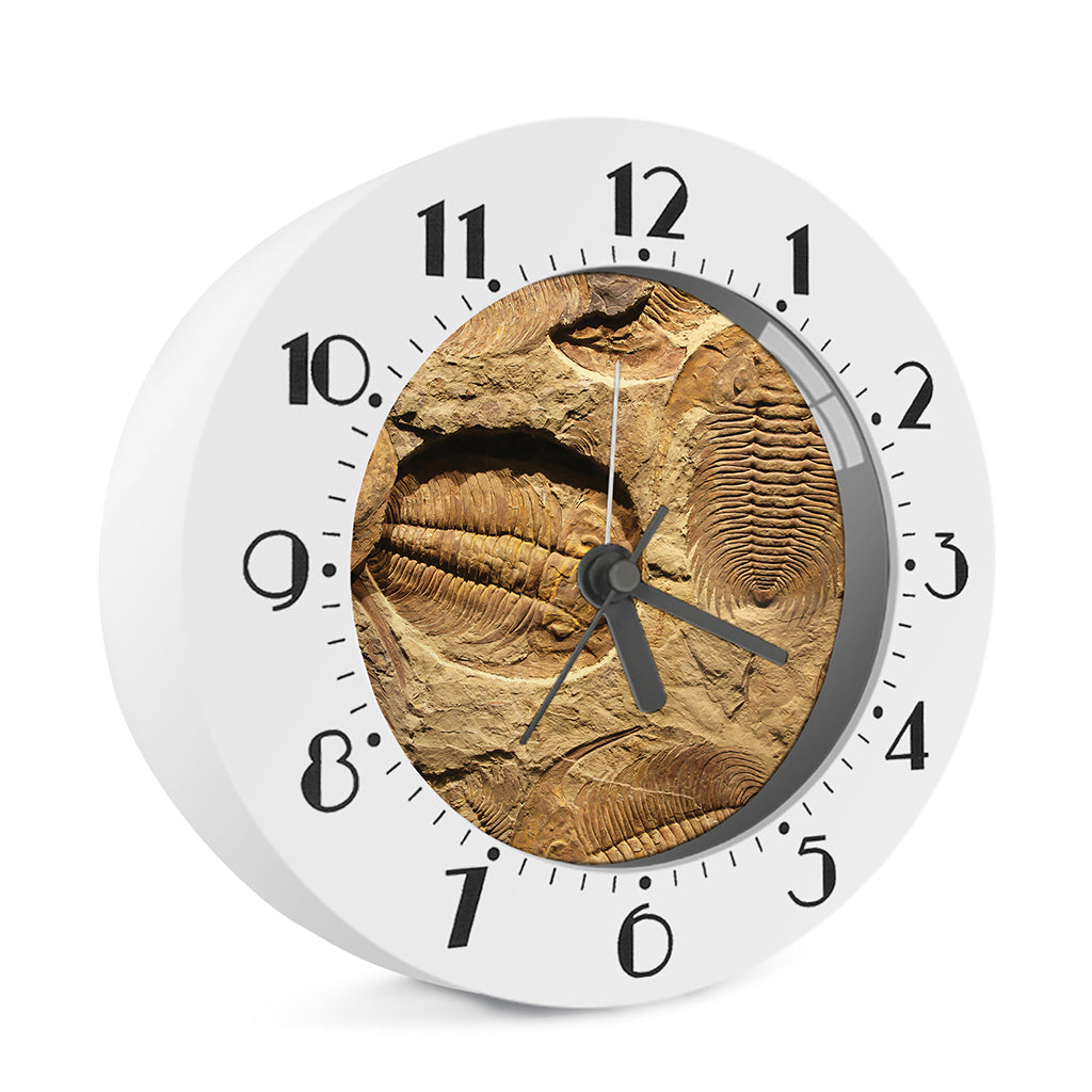 Trilobite Fossil Print Alarm Clock