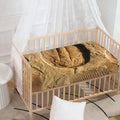 Trilobite Fossil Print Baby Crib Sheet