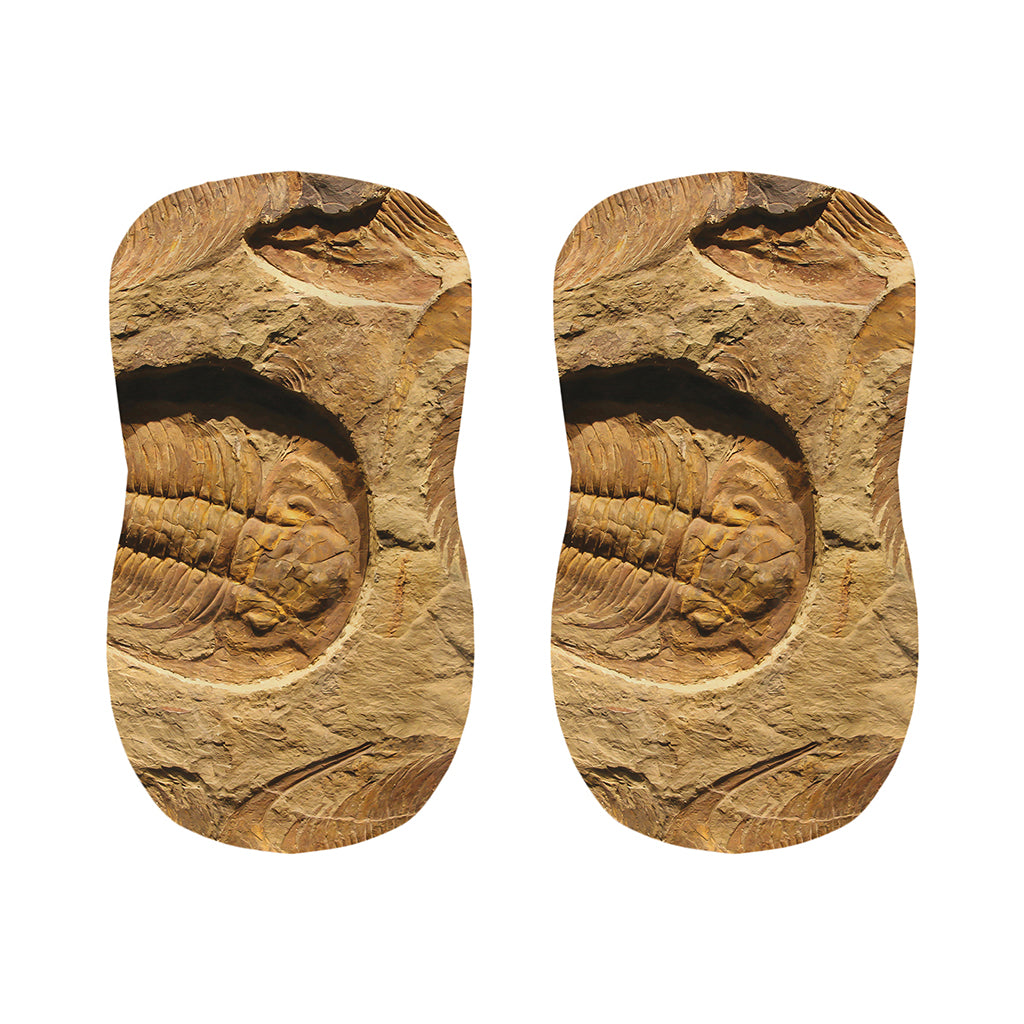 Trilobite Fossil Print Bar Stool Covers