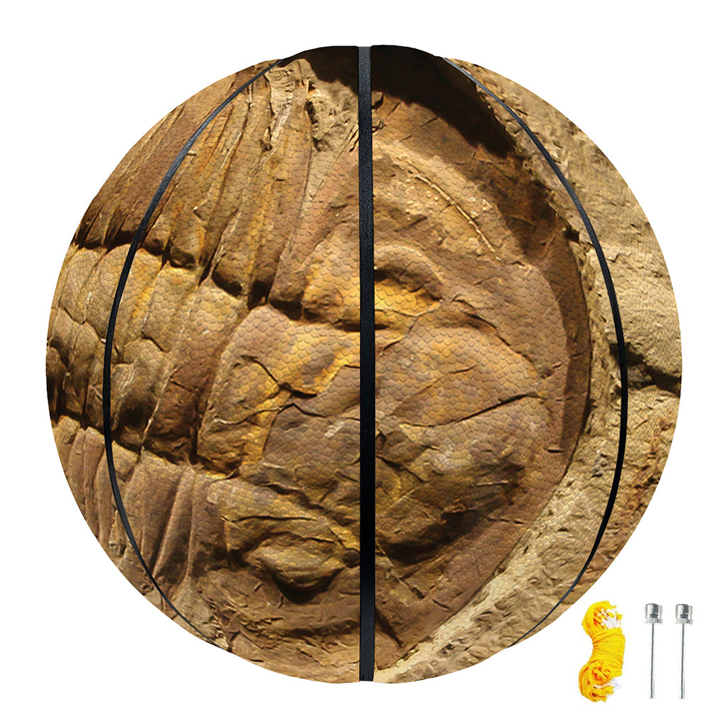 Trilobite Fossil Print Basketball