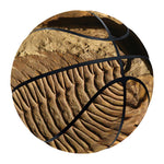Trilobite Fossil Print Basketball