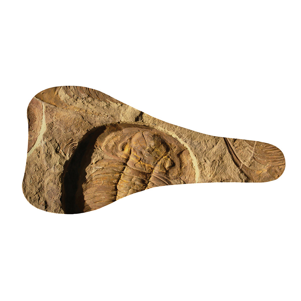 Trilobite Fossil Print Bicycle Seat Cover
