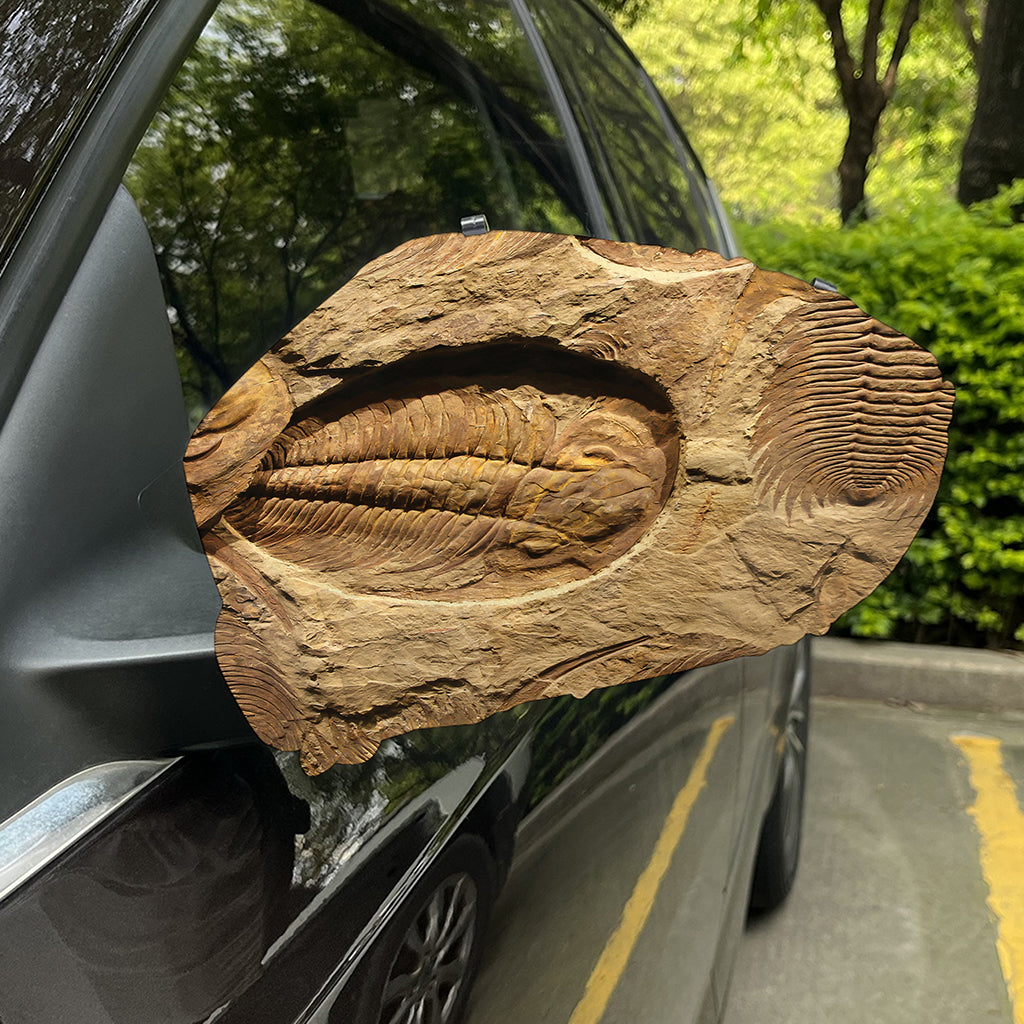 Trilobite Fossil Print Car Side Mirror Covers