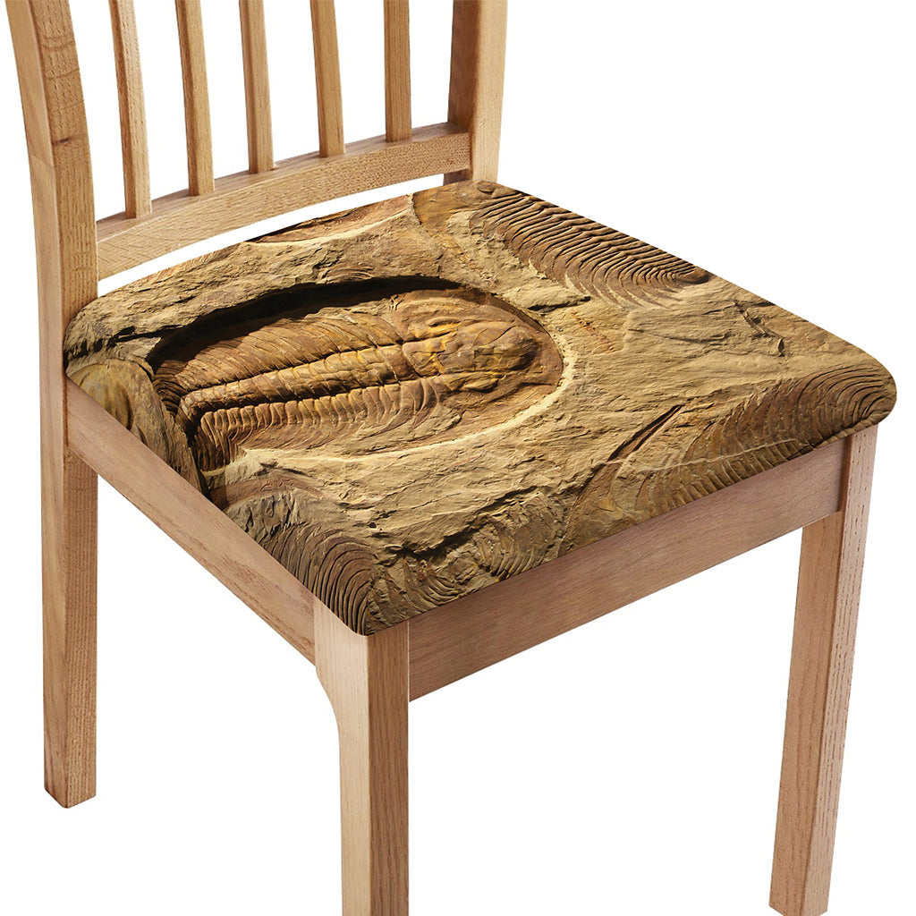 Trilobite Fossil Print Chair Cushion Cover