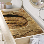Trilobite Fossil Print Changing Pad Cover