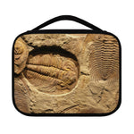 Trilobite Fossil Print Classic Bible Case