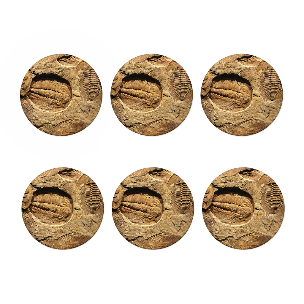 Trilobite Fossil Print Coaster Set