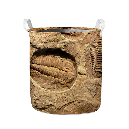 Trilobite Fossil Print Collapsible Laundry Basket