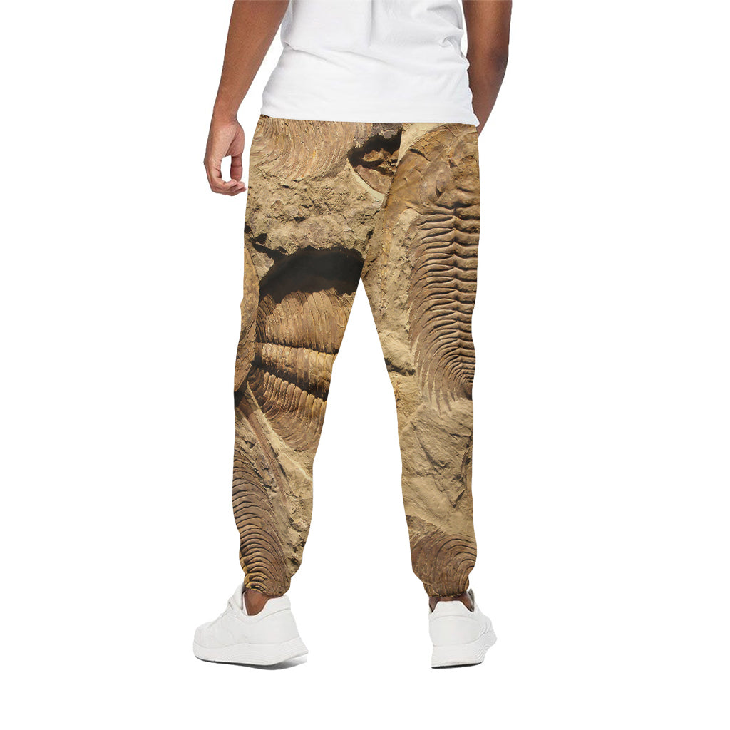 Trilobite Fossil Print Cotton Pants
