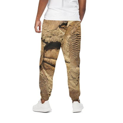 Trilobite Fossil Print Cotton Pants