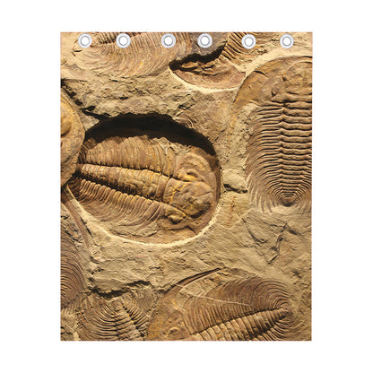 Trilobite Fossil Print Curtain