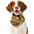 Trilobite Fossil Print Dog Bandana