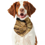 Trilobite Fossil Print Dog Bandana