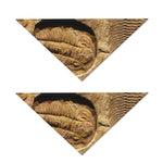 Trilobite Fossil Print Dog Bandana