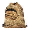 Trilobite Fossil Print Drawstring Bag