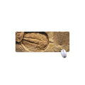 Trilobite Fossil Print Extended Mouse Pad