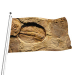 Trilobite Fossil Print Flag