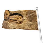 Trilobite Fossil Print Flag