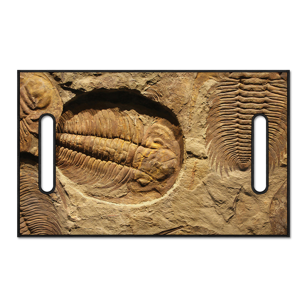 Trilobite Fossil Print Golf Cart Seat Cover
