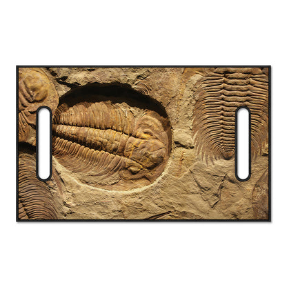 Trilobite Fossil Print Golf Cart Seat Cover