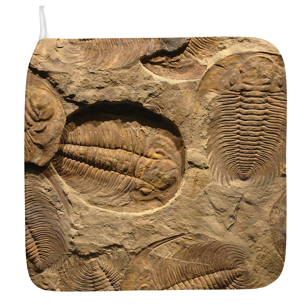 Trilobite Fossil Print Hand Towel