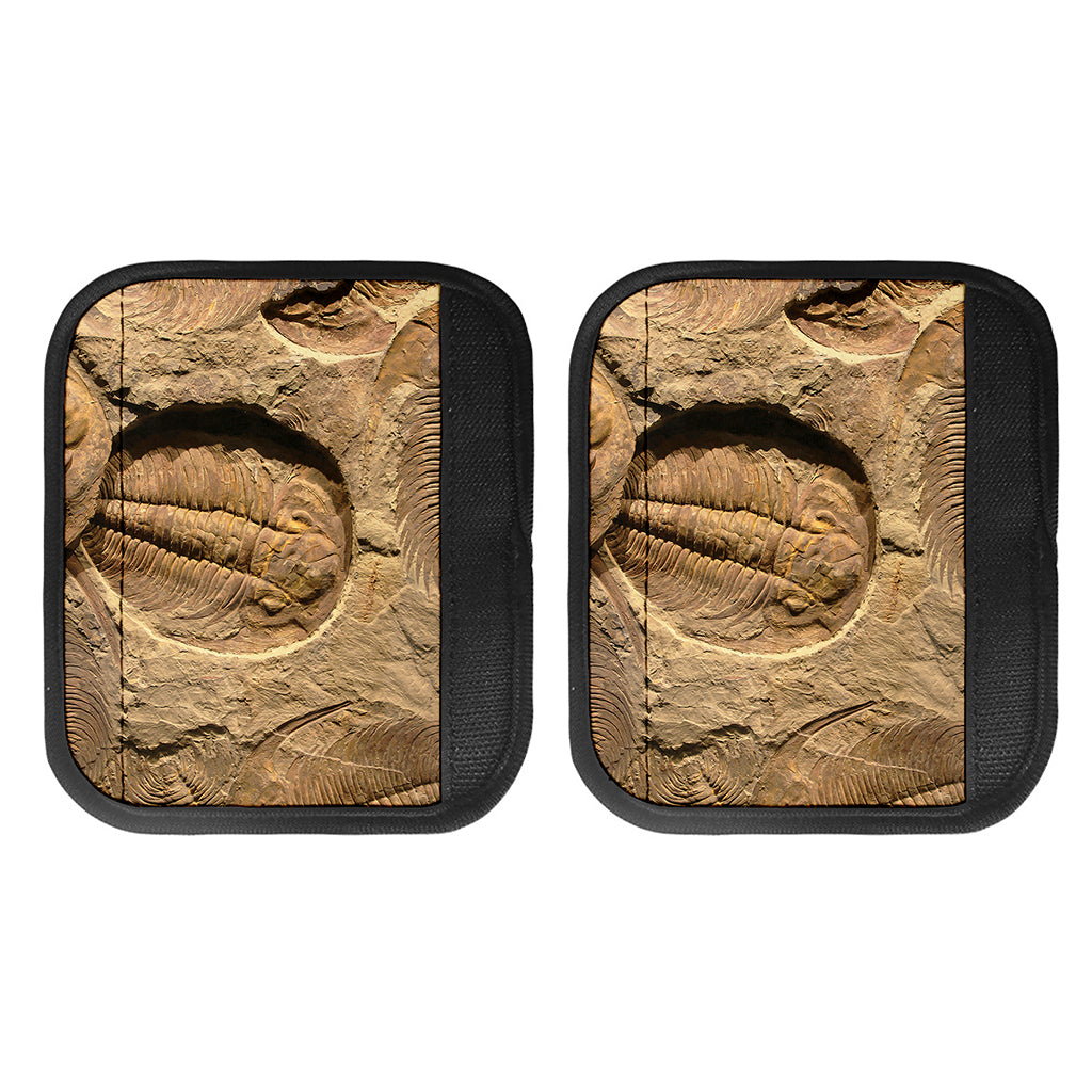 Trilobite Fossil Print Handle Covers