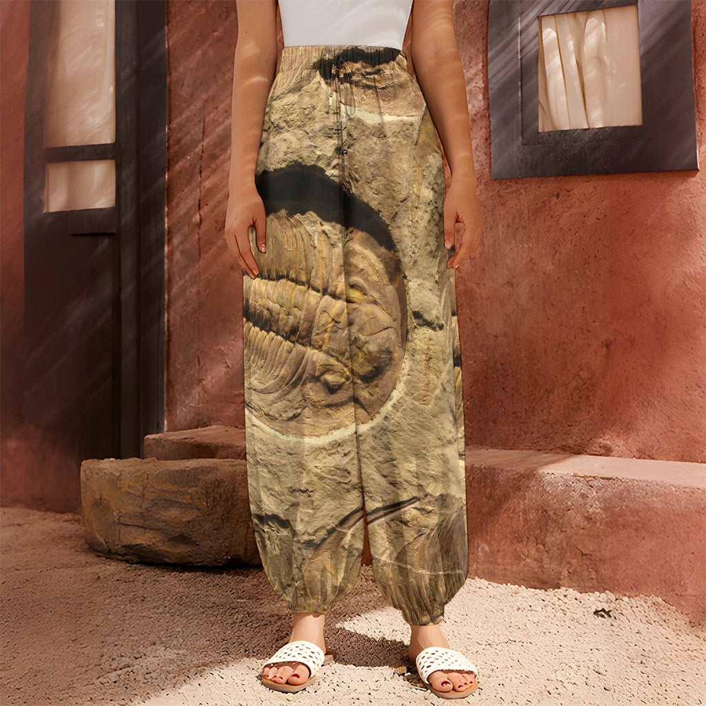Trilobite Fossil Print Harem Pants