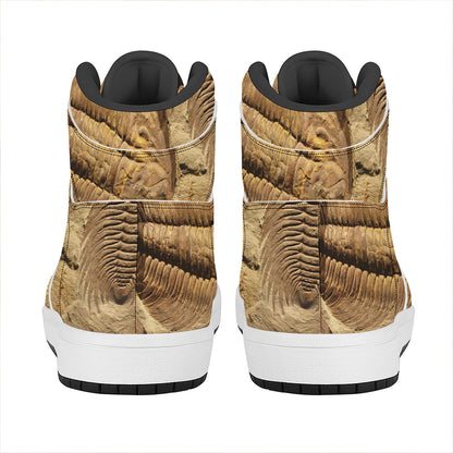 Trilobite Fossil Print High Top Leather Sneakers