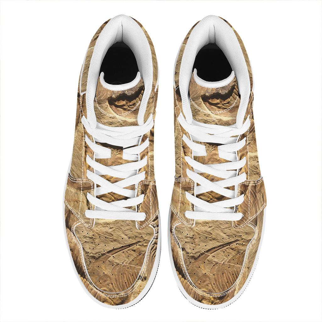 Trilobite Fossil Print High Top Leather Sneakers