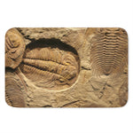 Trilobite Fossil Print Indoor Door Mat