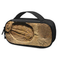 Trilobite Fossil Print Portable Cooler Travel Case