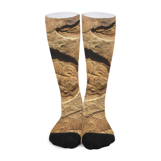 Trilobite Fossil Print Long Socks
