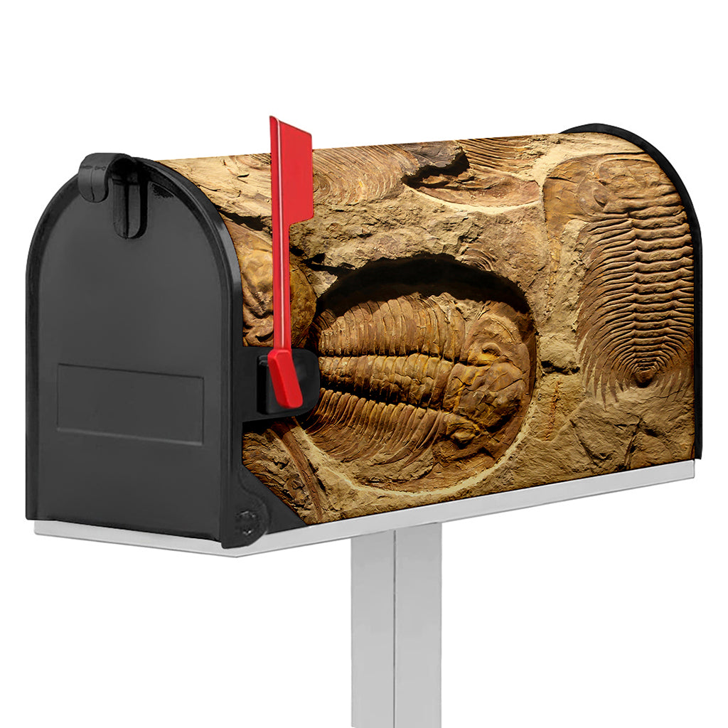 Trilobite Fossil Print Mailbox Cover