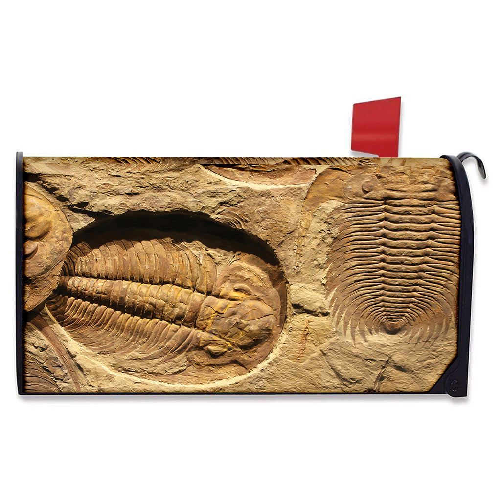 Trilobite Fossil Print Mailbox Cover