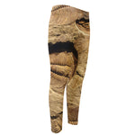 Trilobite Fossil Print Men's Compression Pants