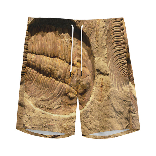 Trilobite Fossil Print Men's Sports Shorts