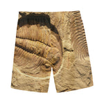 Trilobite Fossil Print Men's Sports Shorts
