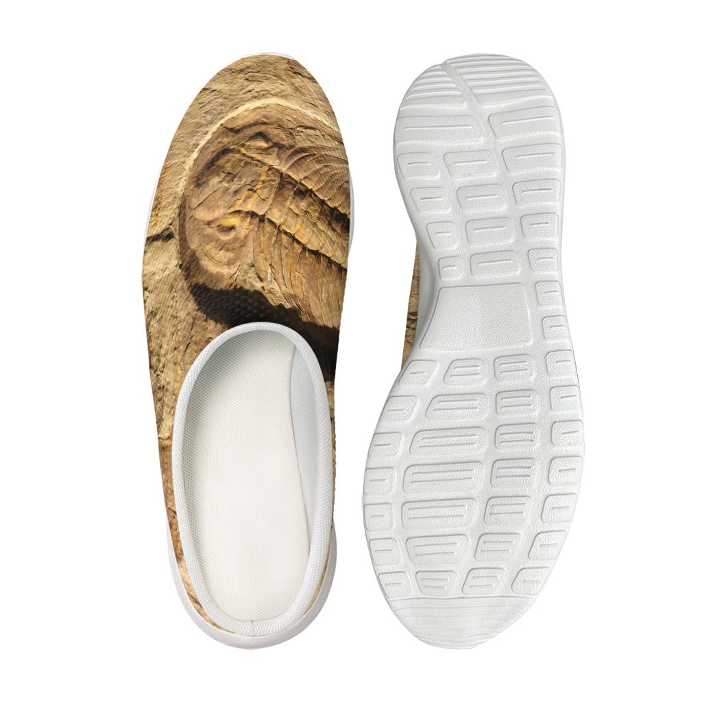 Trilobite Fossil Print Mesh Casual Shoes