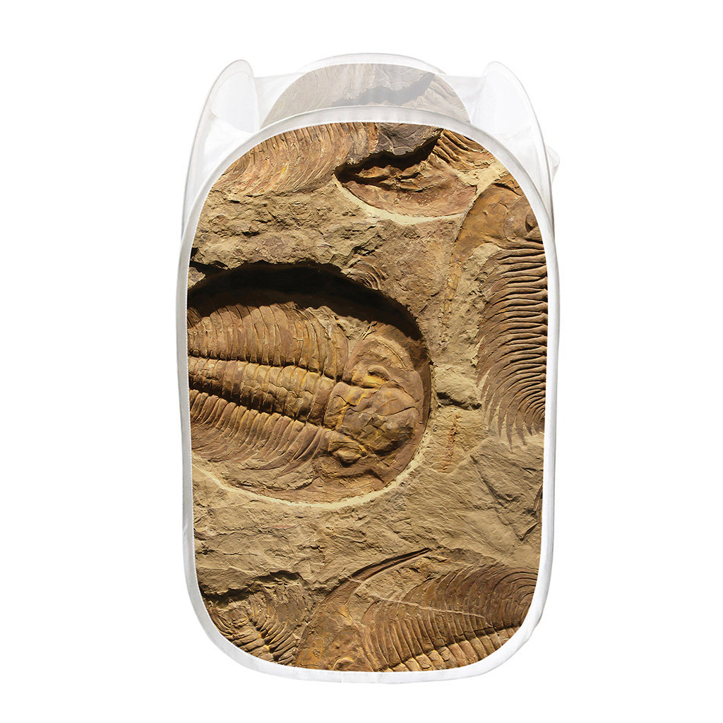 Trilobite Fossil Print Mesh Laundry Hamper