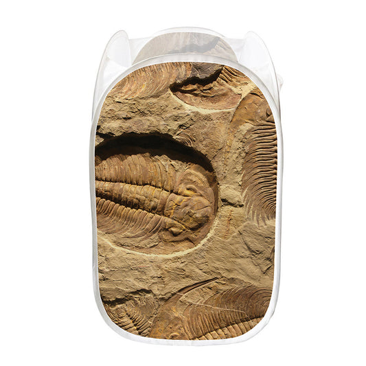 Trilobite Fossil Print Mesh Laundry Hamper