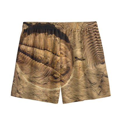 Trilobite Fossil Print Mesh Shorts