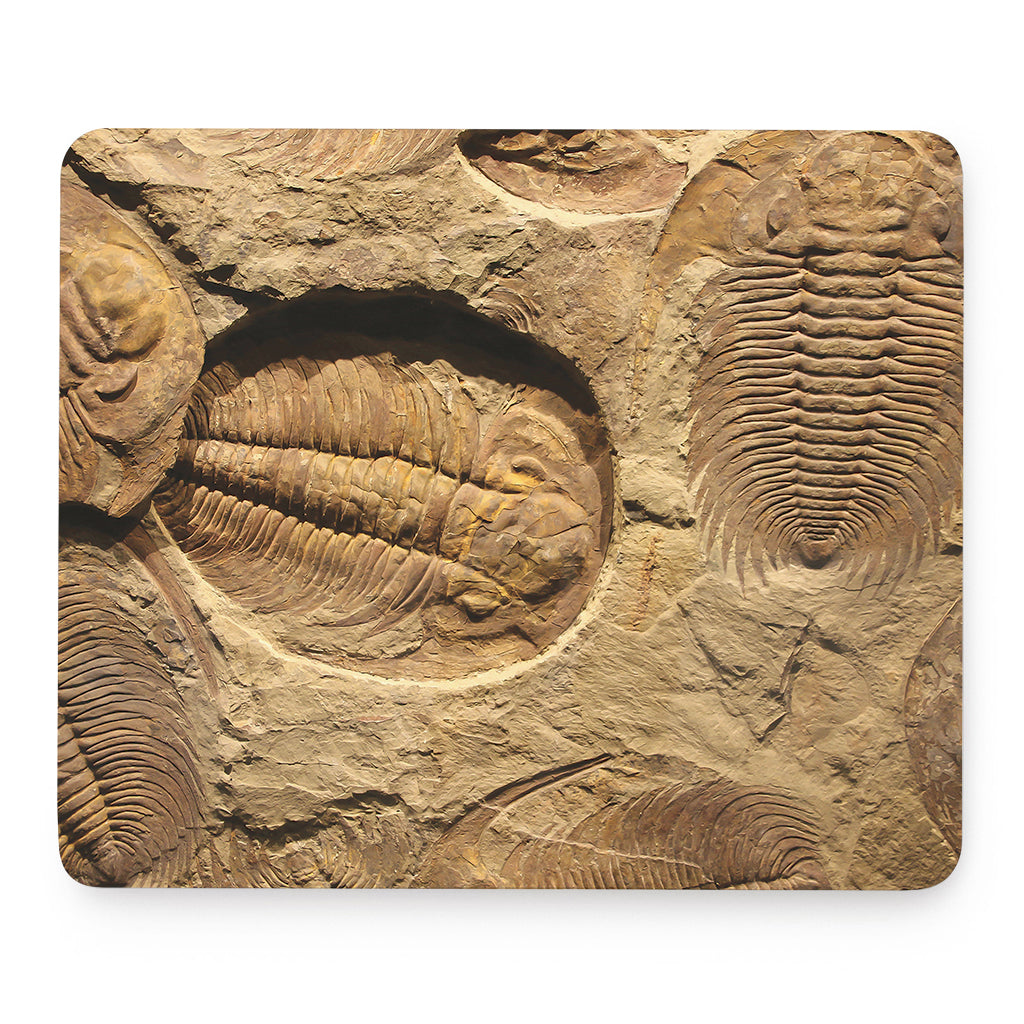 Trilobite Fossil Print Mouse Pad